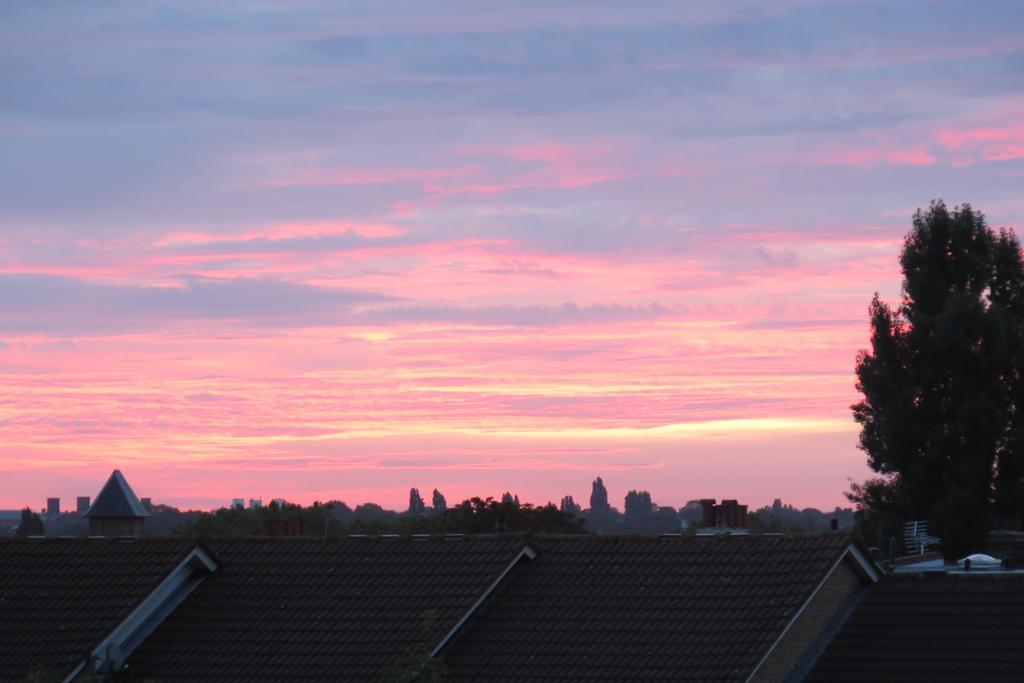 Southfieldsb&Bstudios London Eksteriør billede